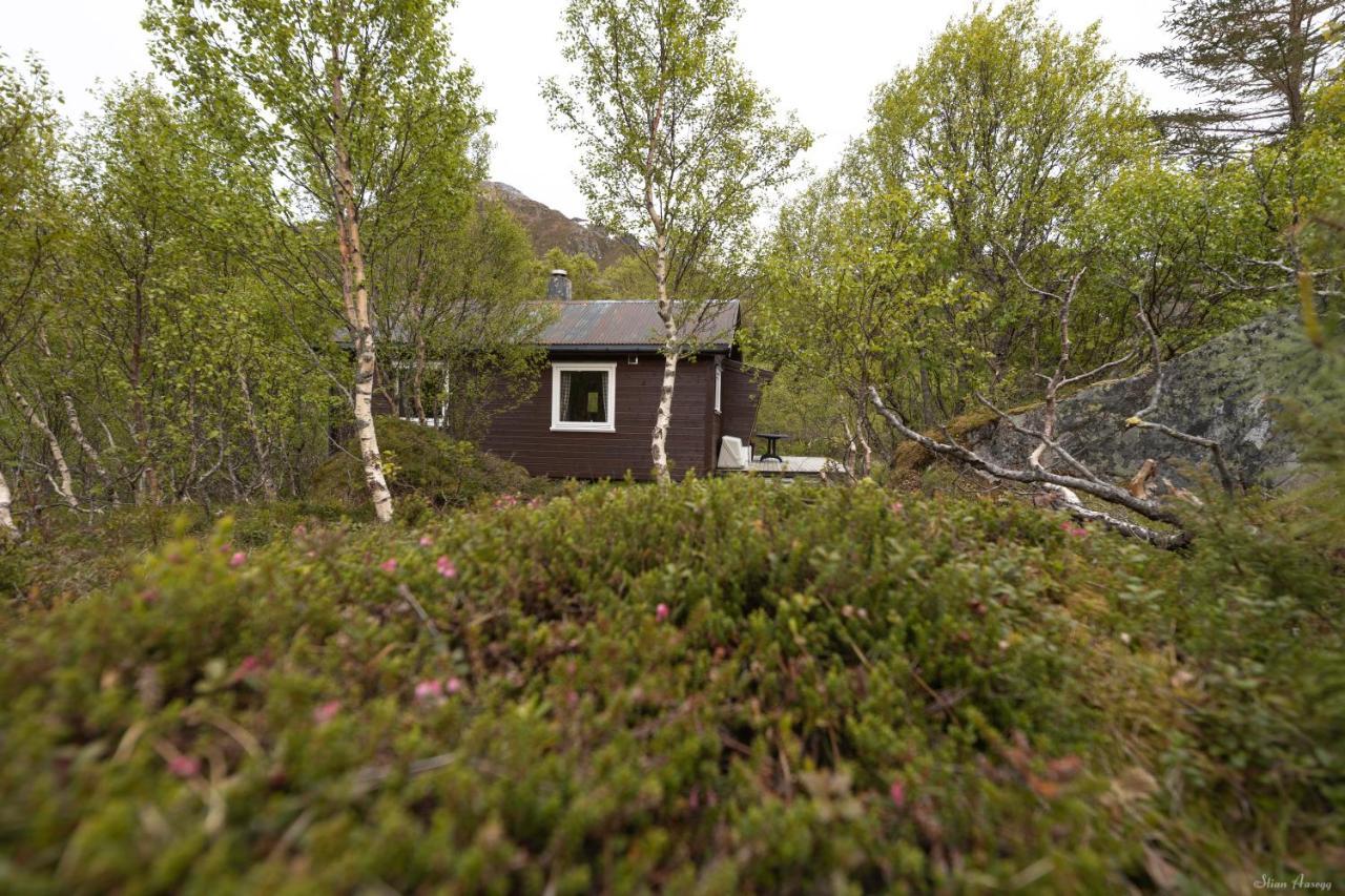 Villa Haugteig Lyngværet Exterior foto