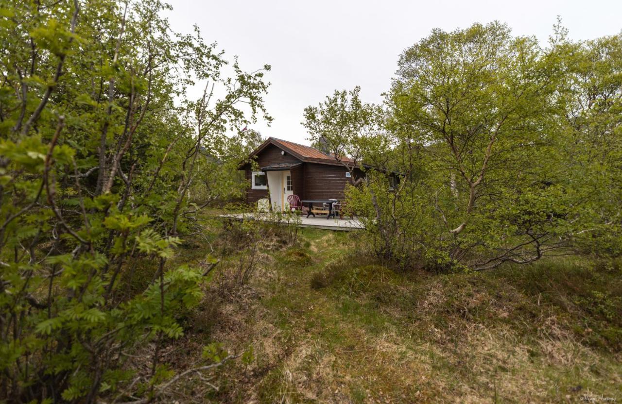 Villa Haugteig Lyngværet Exterior foto